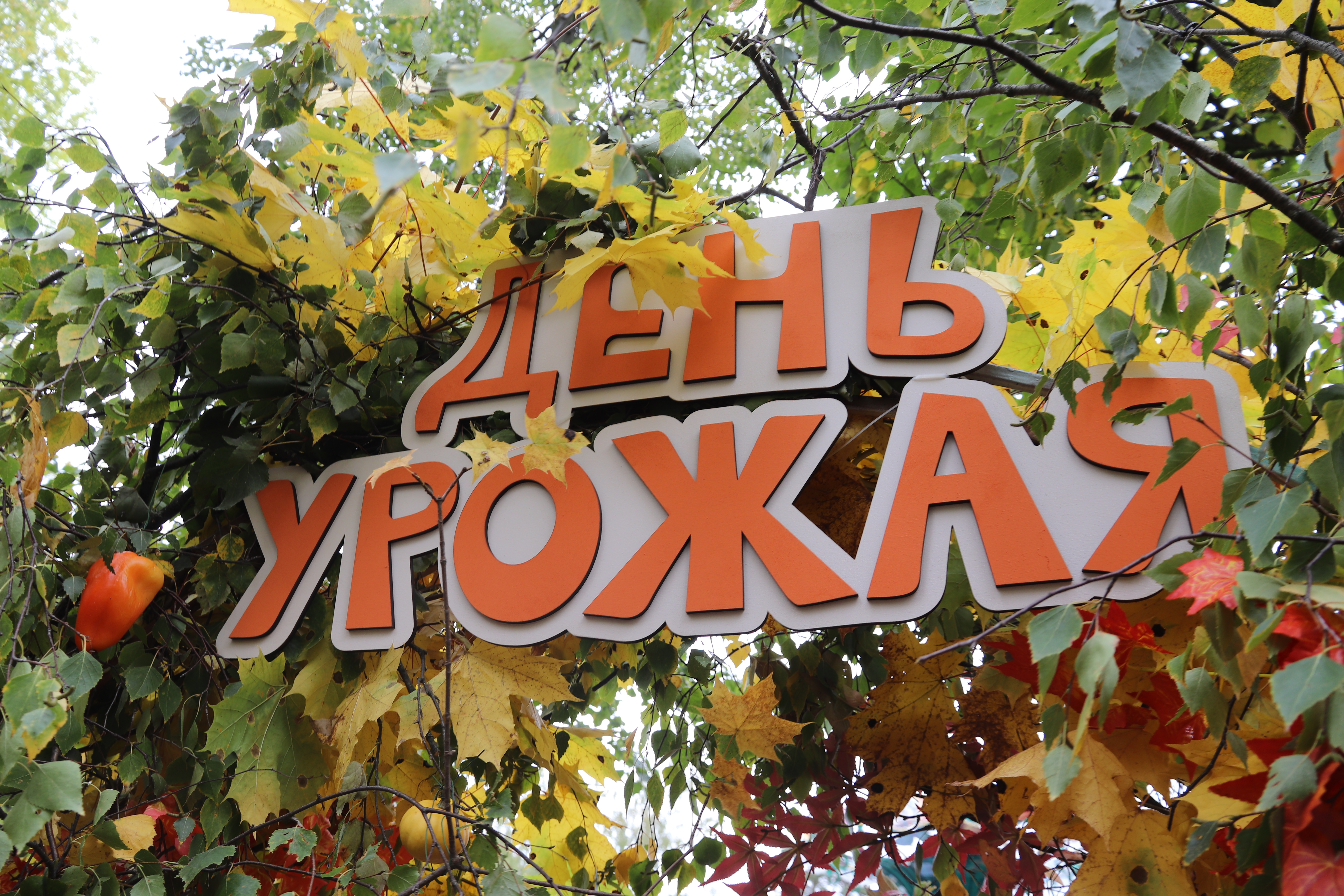 Осенний фестиваль «День урожая».