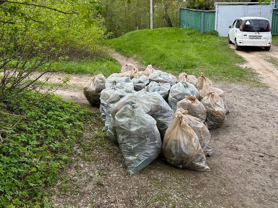 Из Варгинского оврага вывезено 40 мешков  мусора.