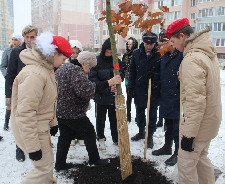 В Иванове высажены деревья в честь Героев России.