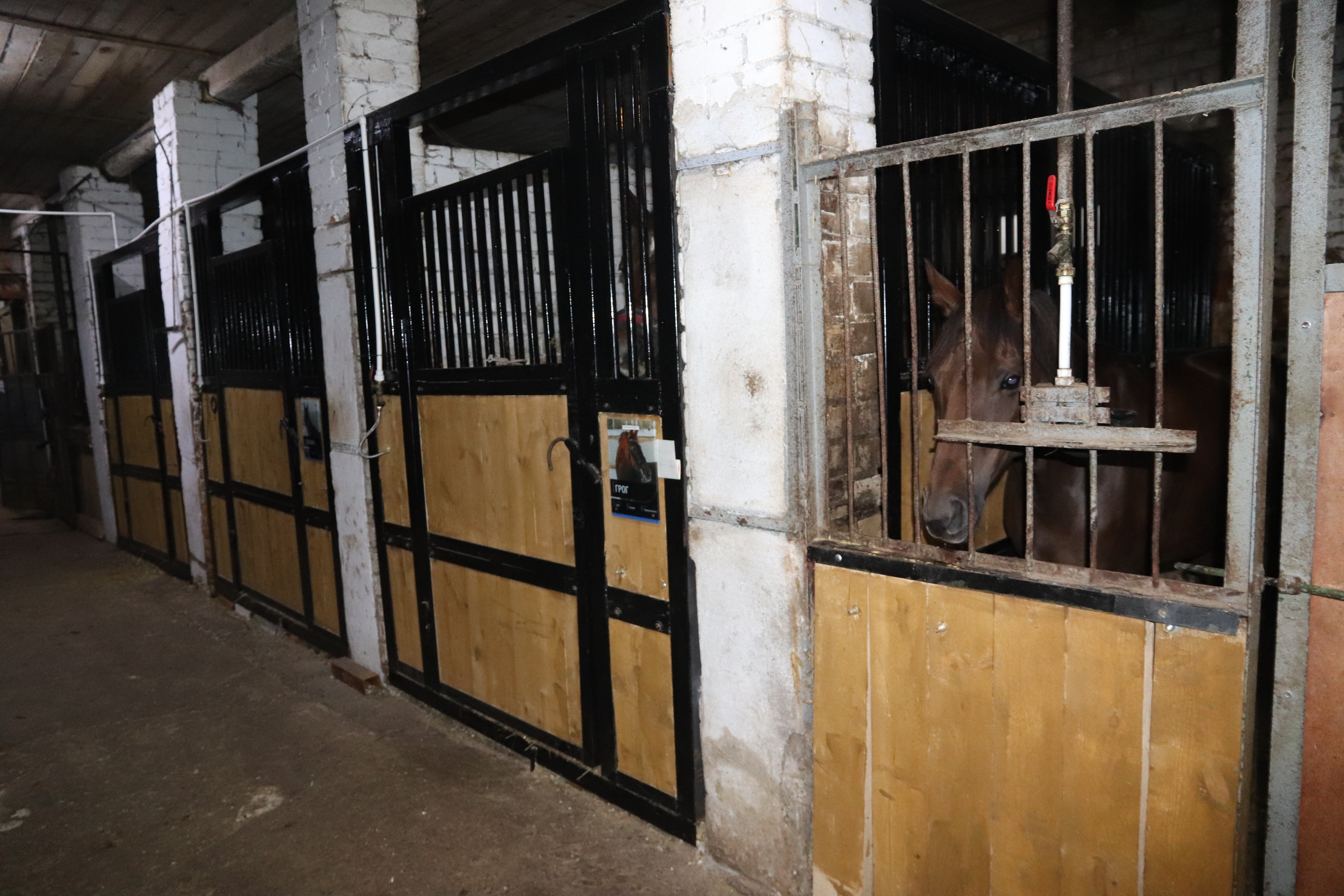 В спортивной школе № 11 отремонтировали денники для лошадей.