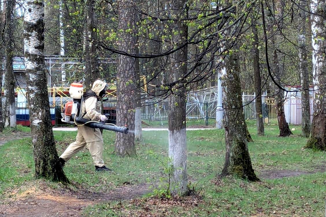 Территории всех городских парков обработаны от клещей.