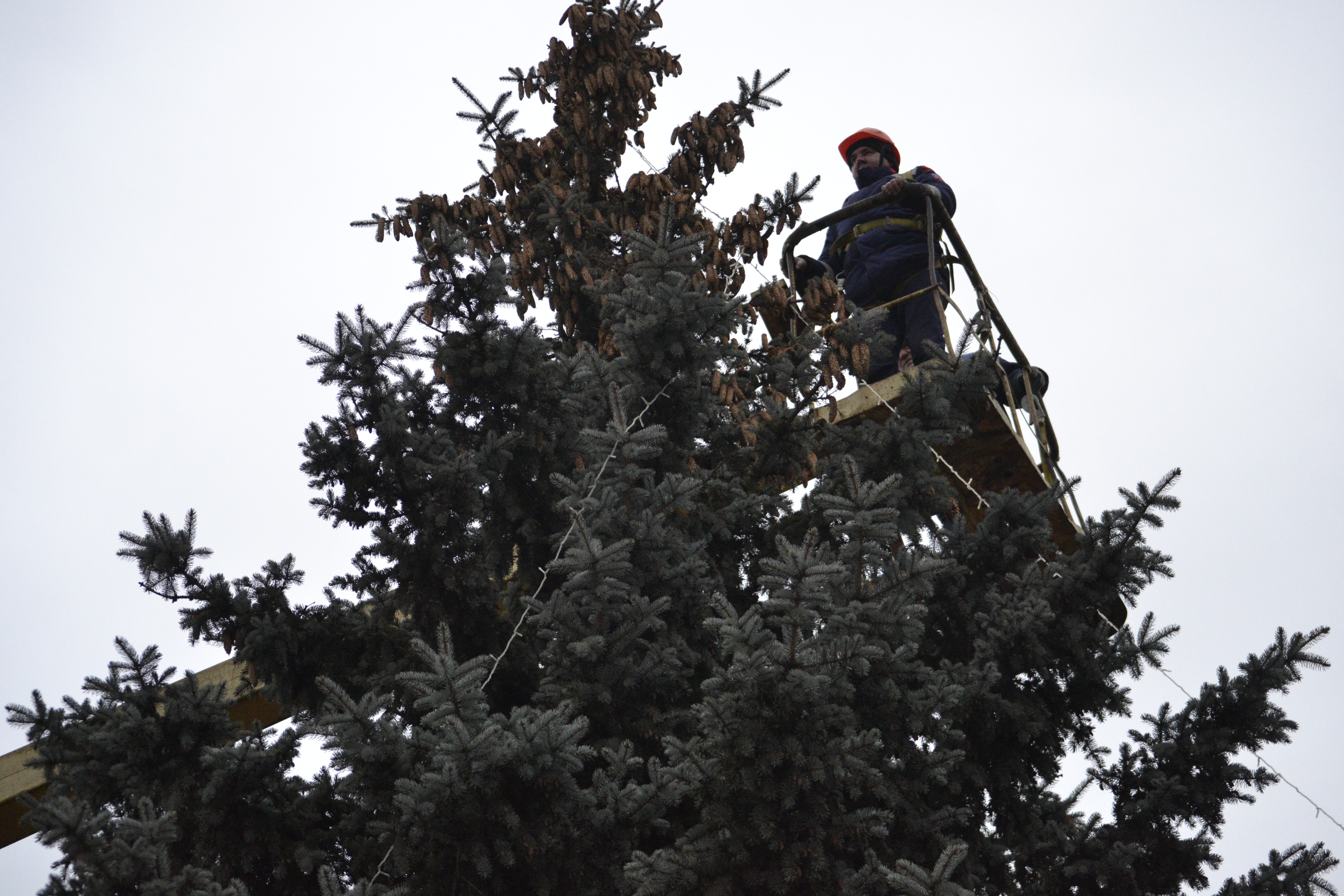 Еще одну новогоднюю ель украсили на площади Победы.