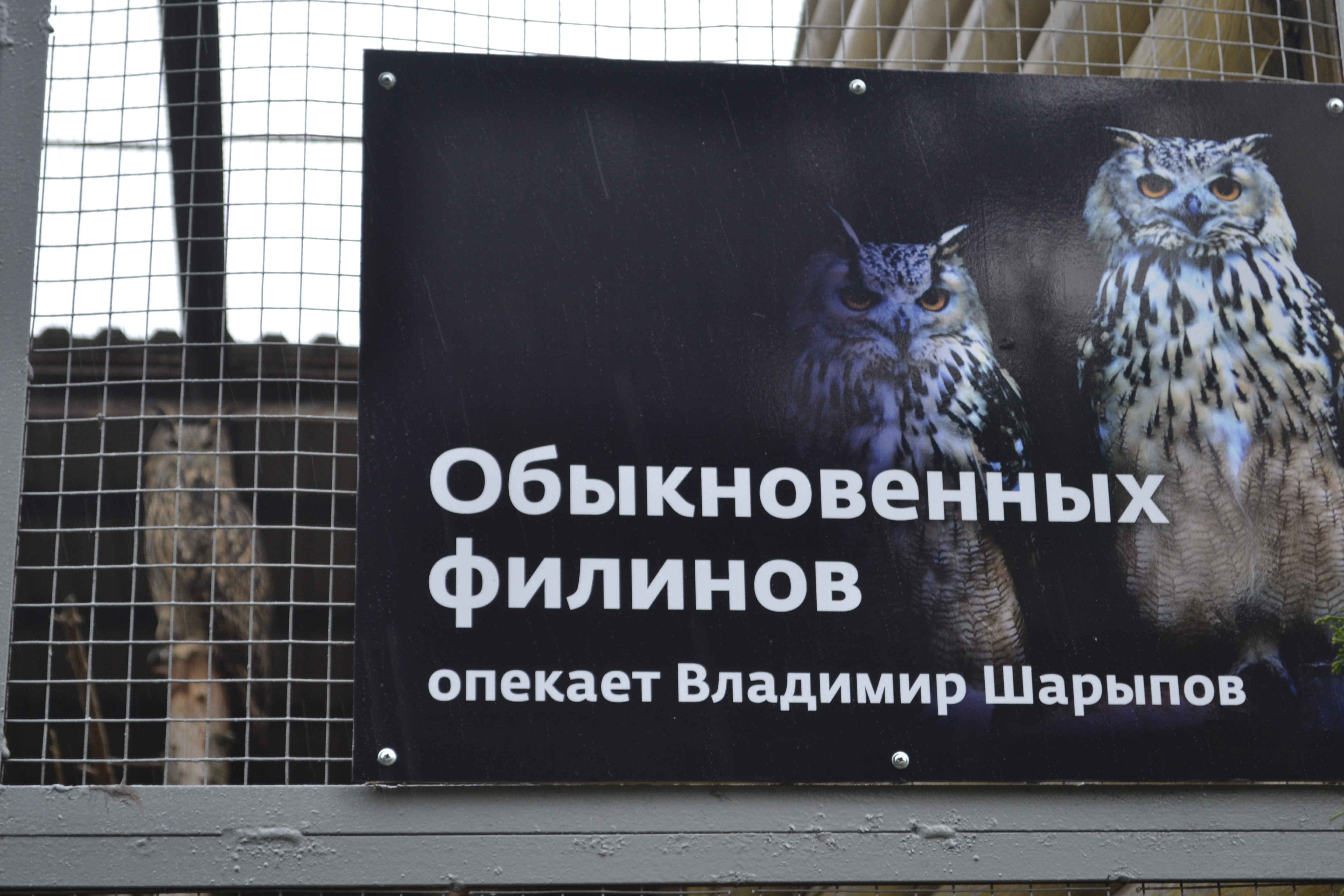 У обитателей Ивановского зоопарка растет количество опекунов.