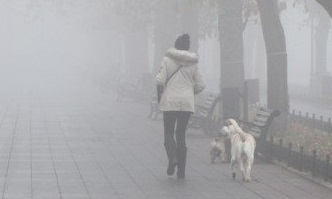 В Ивановской области прогнозируется туман.