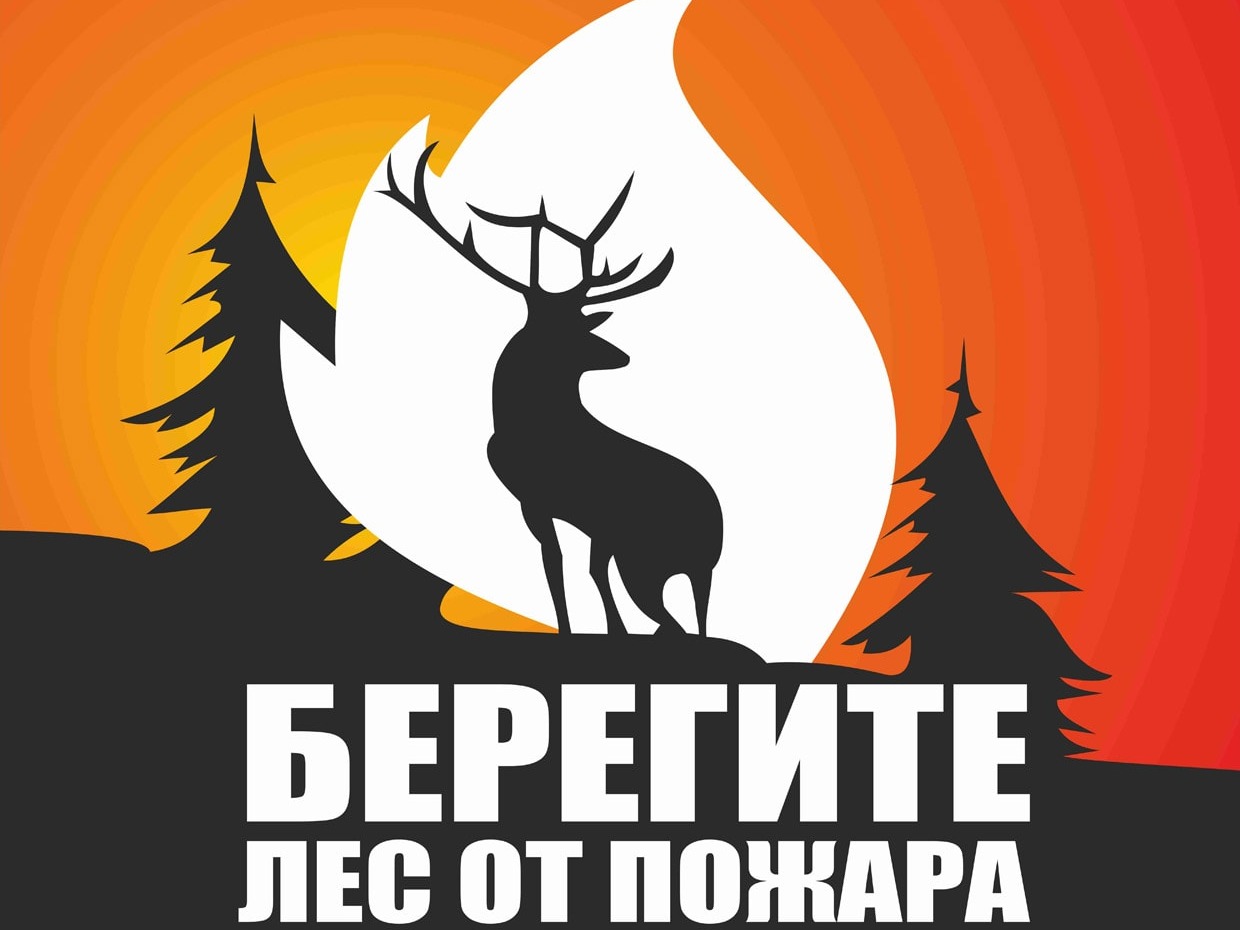 О соблюдении правил пожарной безопасности в лесах.