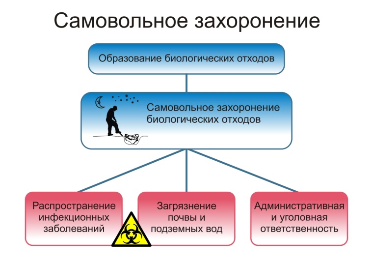 О неотложных действиях при заболевании и/или падеже животных, и правилах безопасного обращения с биологическими отходами.