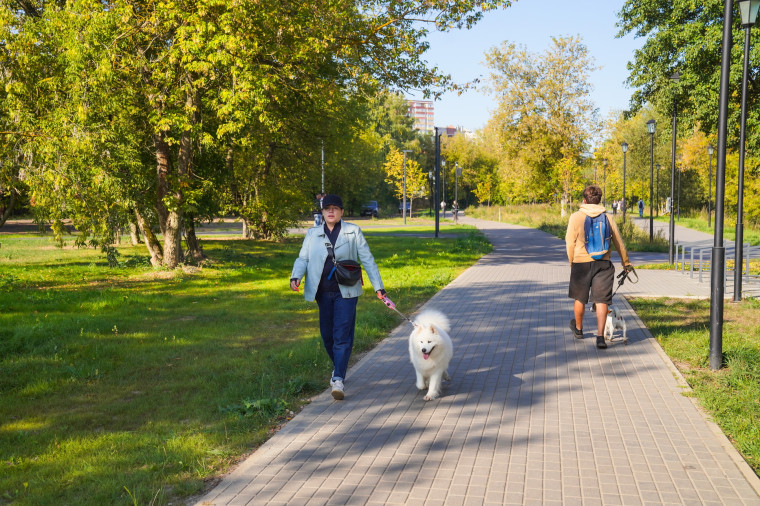 В Иванове создана новая территория для отдыха и прогулок на набережной реки Уводь.