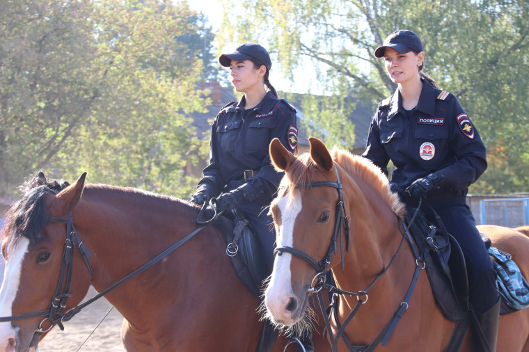 В охране правопорядка города полицейским помогают 10 лошадей кавалерии и 14 собак.