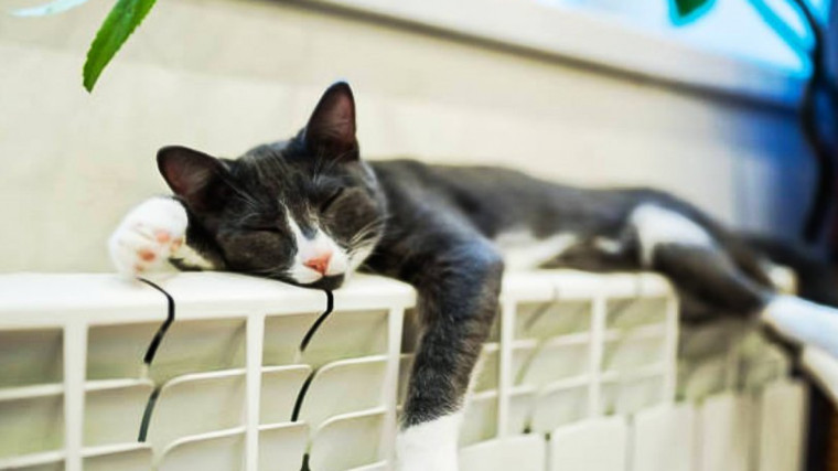 В Иванове началась подготовка к отопительному сезону 2026–2027 годов.