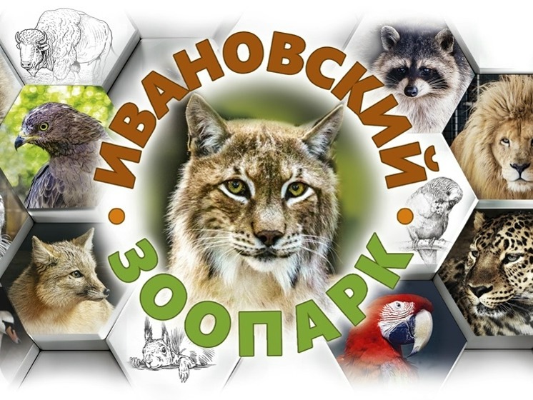 Ивановский зоопарк перешел на летний график работы.
