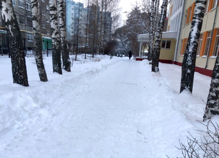 Депутаты городской и областной думы подключились к работе на округах по очистке территорий от снега.