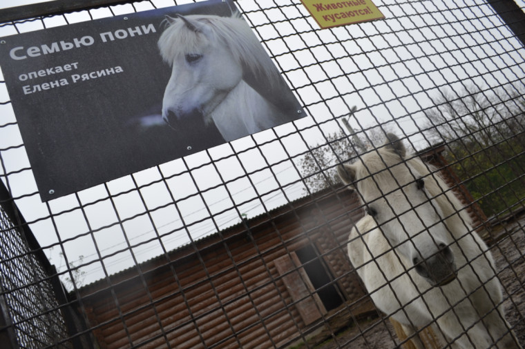 Ещё у двух обитателей зоопарка появился опекун.