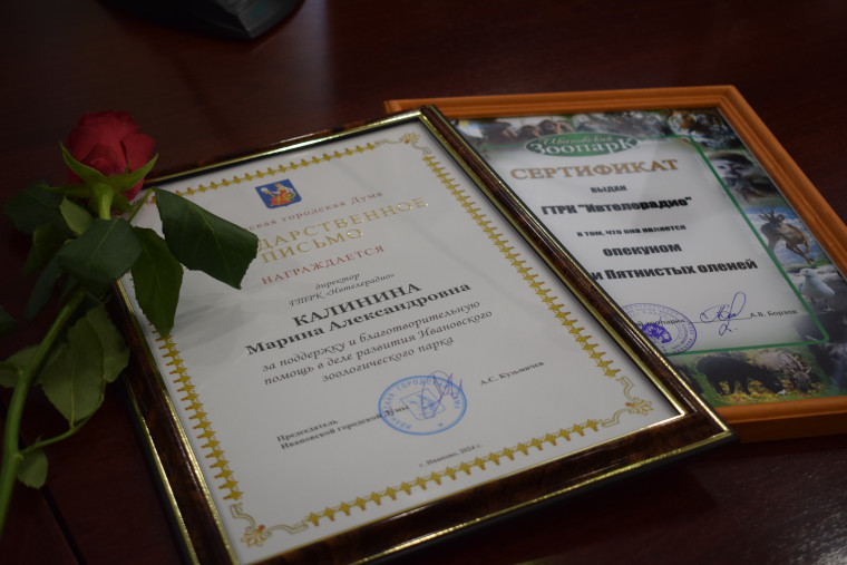 Ивановскому зоопарку исполнилось 30 лет.