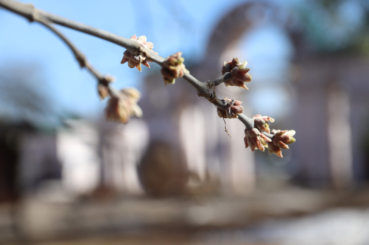 В следующем году городской парк имени В.Я. Степанова отметит 100-летний юбилей.