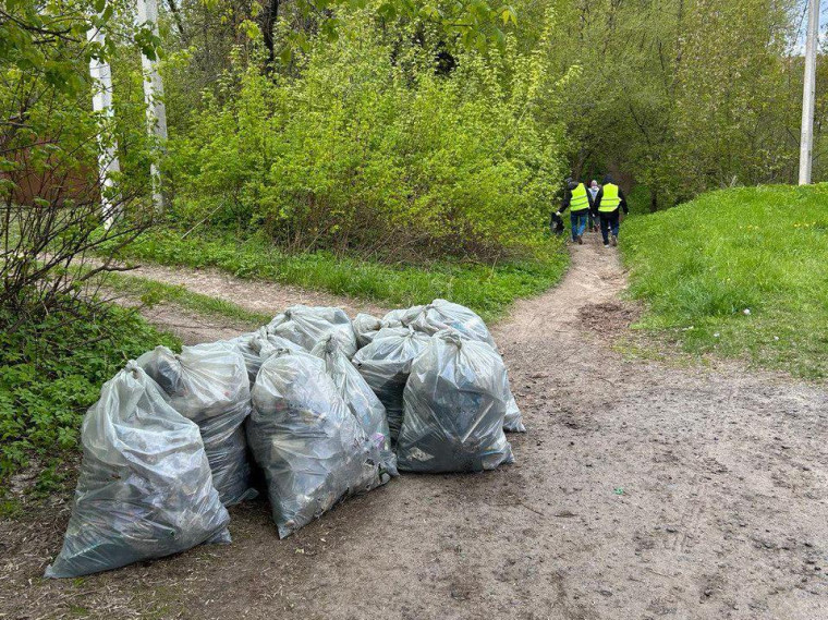 Из Варгинского оврага вывезено 40 мешков  мусора.