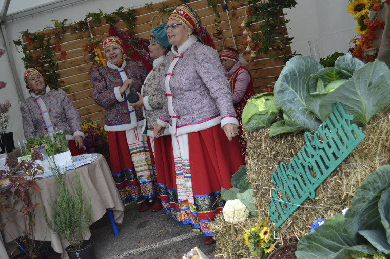 В парке им. В.Я. Степанова прошел фестиваль «День урожая».