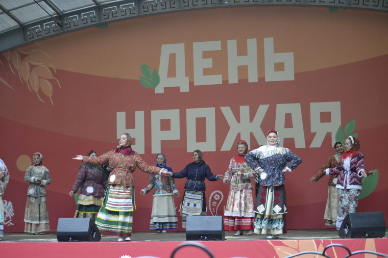 В парке им. В.Я. Степанова прошел фестиваль «День урожая».