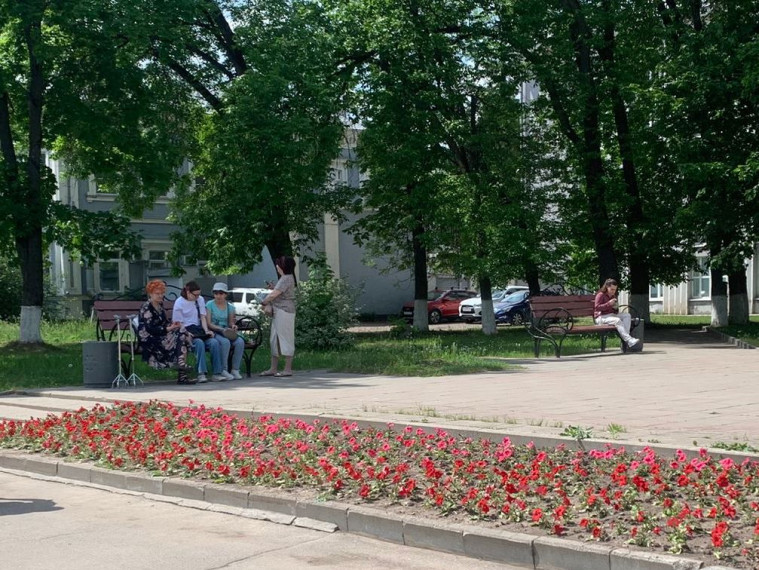 В городских цветниках продолжается замена тюльпанов на однолетники.