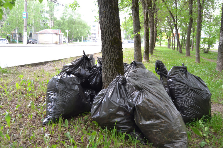 В областном центре стартовала летняя трудовая кампания.