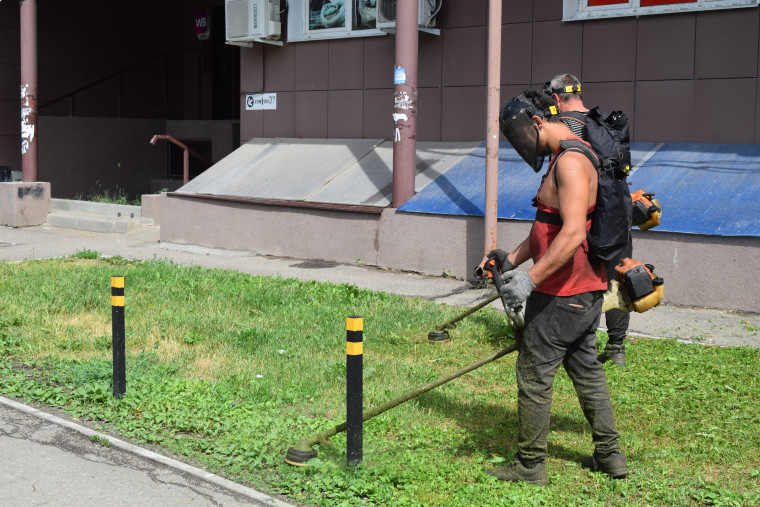 В Иванове увеличено число бригад по выкашиванию газонов.