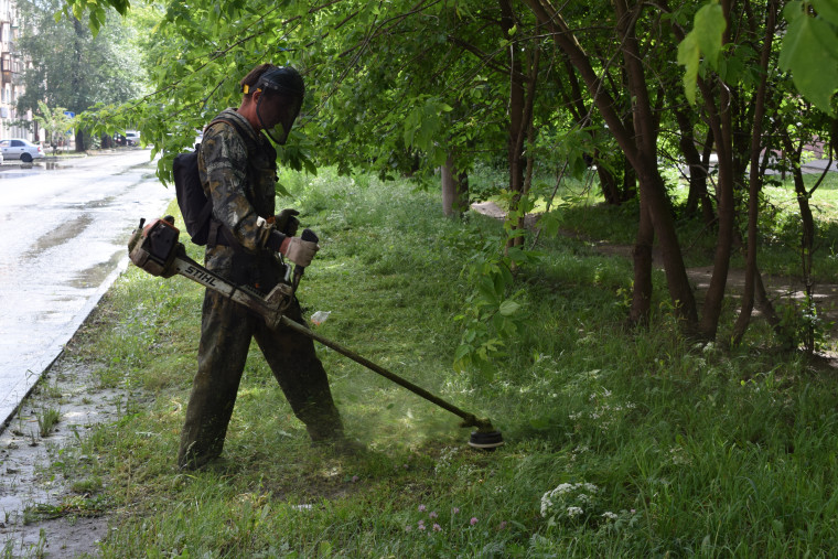 В Иванове увеличено число бригад по выкашиванию газонов.