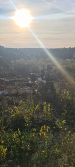 На полигоне ТБО «Залесье» ликвидирована угроза распространения пожара.