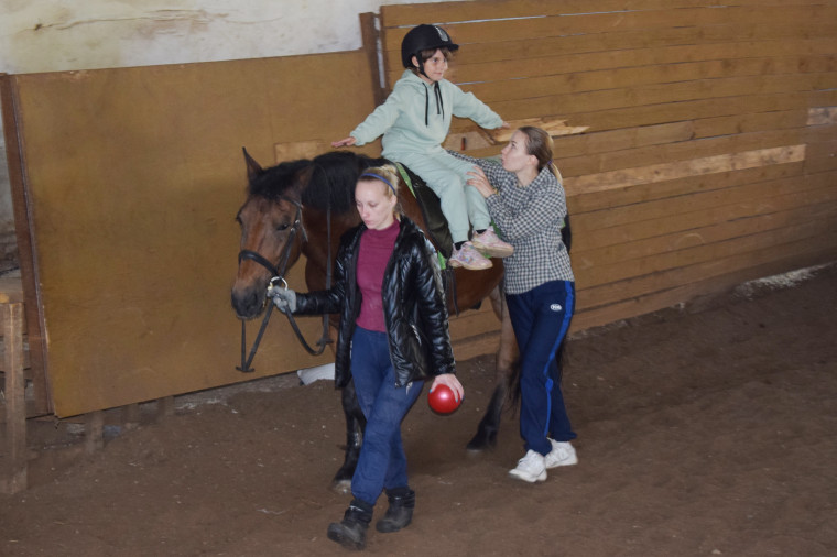 В спортивной школе № 11 ремонтируют денники для лошадей.