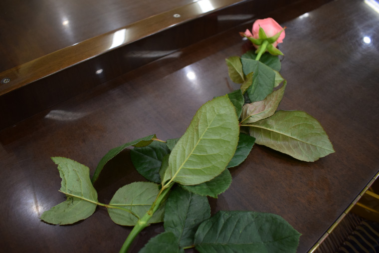 На первом эстет-салоне «Дворцовые встречи» состоялся баттл пианистов.