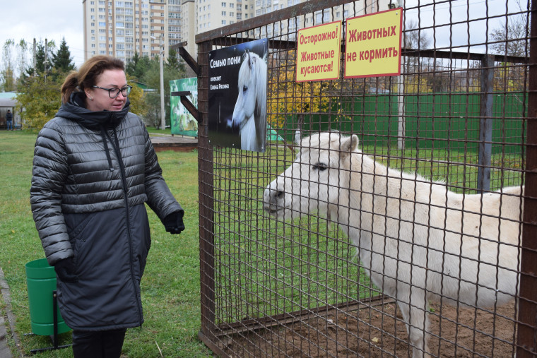 Попечители заложили в Ивановском зоопарке аллею белых тополей.