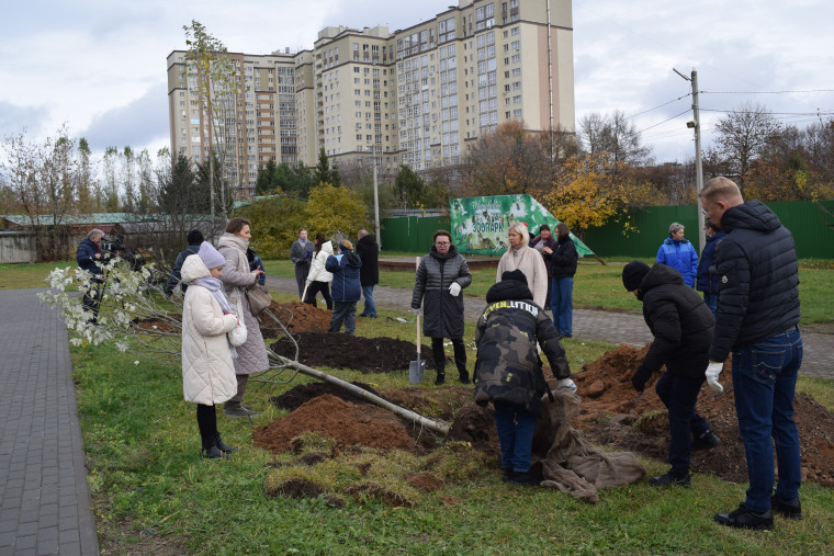 Попечители заложили в Ивановском зоопарке аллею белых тополей.
