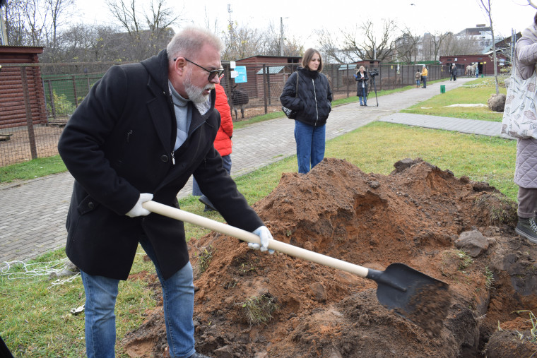Попечители заложили в Ивановском зоопарке аллею белых тополей.