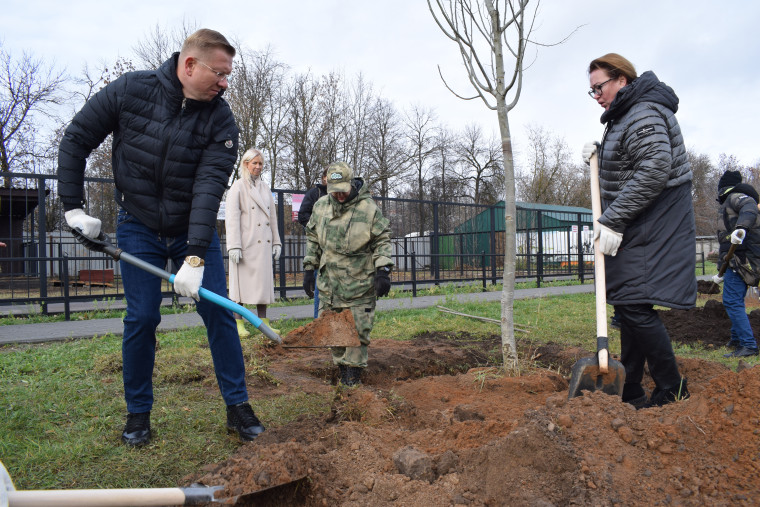 Попечители заложили в Ивановском зоопарке аллею белых тополей.