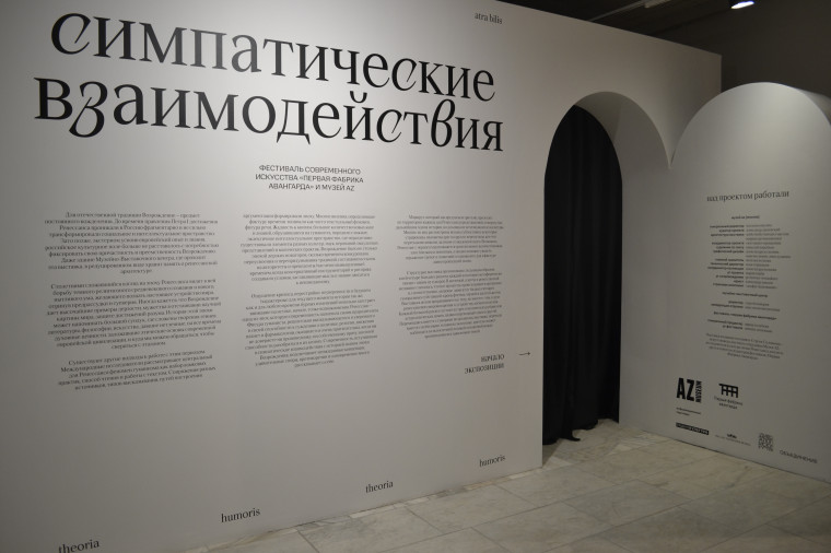 Ивановцам представили выставку «Симпатические взаимодействия».