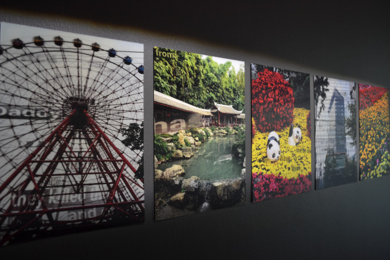 Ивановцам представили выставку «Симпатические взаимодействия».