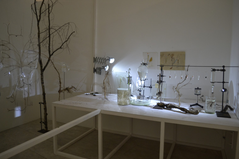 Ивановцам представили выставку «Симпатические взаимодействия».