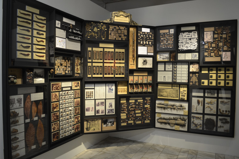 Ивановцам представили выставку «Симпатические взаимодействия».