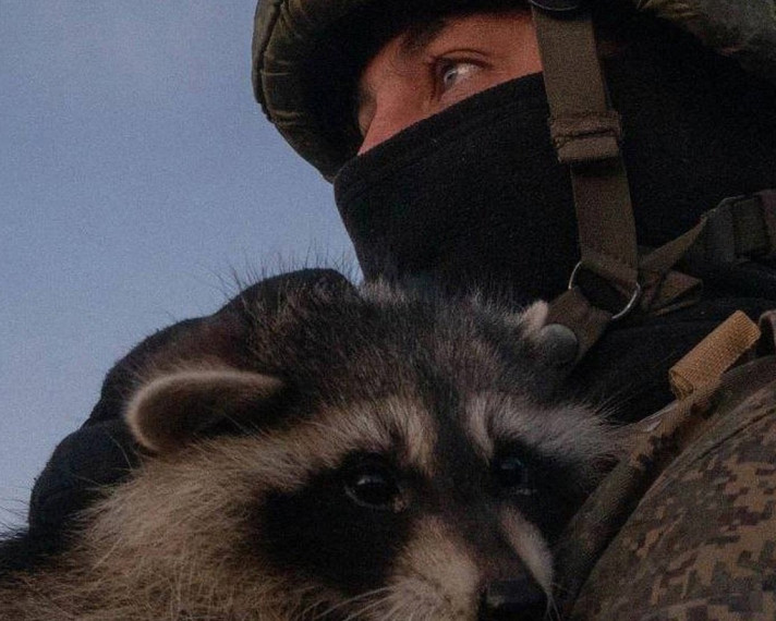 В Ивановском зоопарке стартовал конкурс рисунков о животных героях.