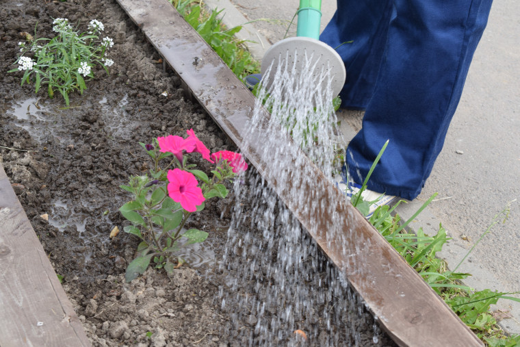 В Иванове подростковые трудовые отряды благоустраивают территории ТОСов.