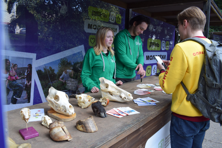 В Иванове проходит День молодежи - 2025.