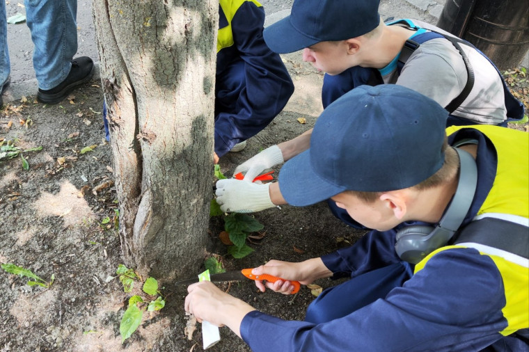 В августе трудовые отряды приводят в порядок городские парки, скверы и площади.