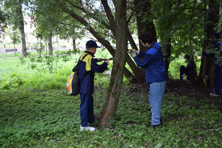 Подростковые отряды помогают благоустраивать областной центр.
