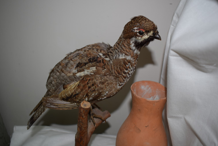 В двух детских образовательных учреждениях сферы культуры капитально отремонтируют кровлю.