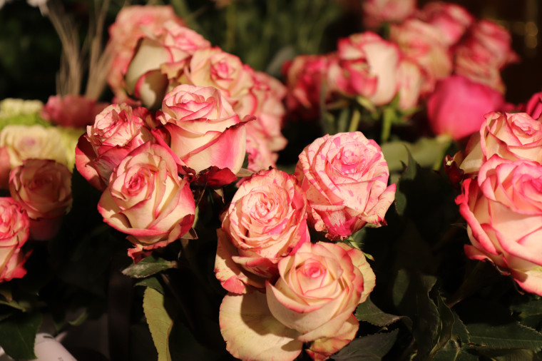 Средняя школа №37 отметила 90-летие.