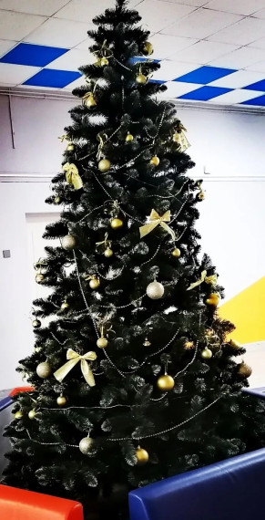 К Новому году здания городских учреждений соцсферы приобретают праздничный вид.