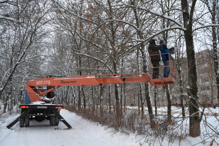 В Иванове приступили к санитарной обрезке деревьев на Аллее текстильщиков.